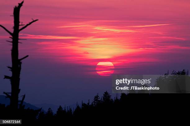 sunset from clingman's dome - clingman's dome stockfoto's en -beelden