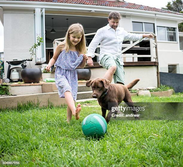 family playing football with the dog - australian garden stock pictures, royalty-free photos & images