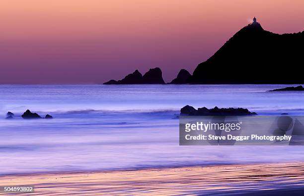 nugget point new zealand - nugget point stock pictures, royalty-free photos & images