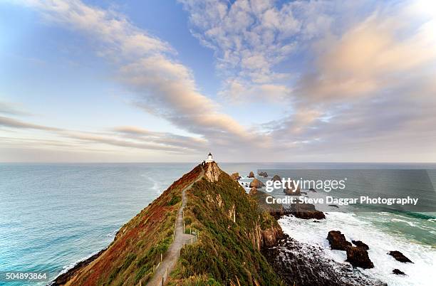 nugget point new zealand - dunedin foto e immagini stock