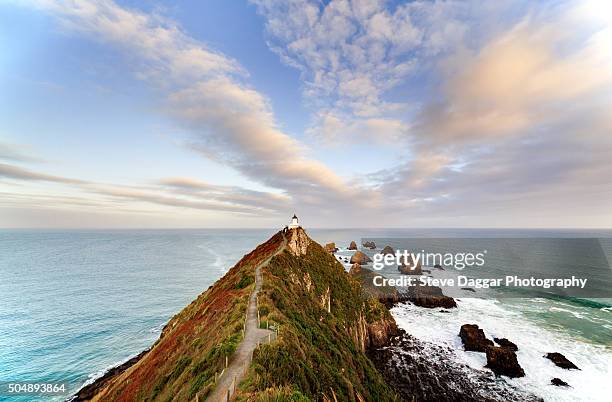 nugget point new zealand - dunedin stock pictures, royalty-free photos & images