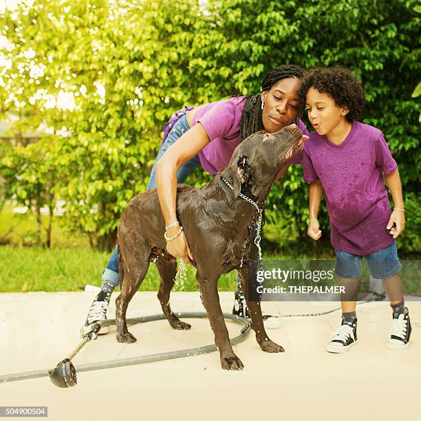 Maclean Fun Handler 26,128 Ground Handler Stock Photos, High-Res Pictures, and Images ...
