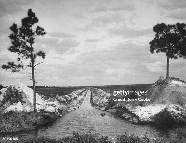 Dug canal helping irrigate a truck farm near Palm Beach.