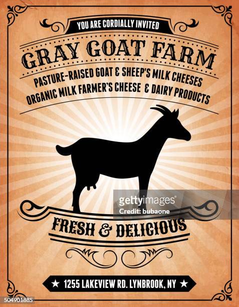 goat farm on royalty free vector background poster - dairy goat stock illustrations