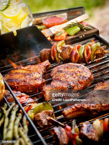 pork chops with kabobs on the bbq - garden barbecue stockfoto's en -beelden