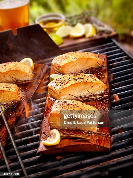 cedar plank salmon fillets on an outdoor bbq - cedar tree bildbanksfoton och bilder