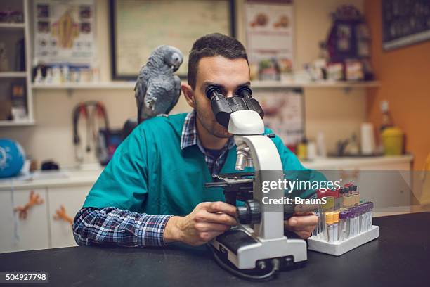 Microscope Birds View 50 Bird Feather Microscope Stock Photos, High-Res Pictures, and Images ...