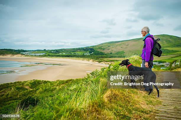 a man and his dog overlooking a beach - lurcher stockfoto's en -beelden