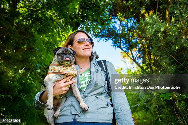 a woman holding a pug - gower peninsula stock-fotos und bilder