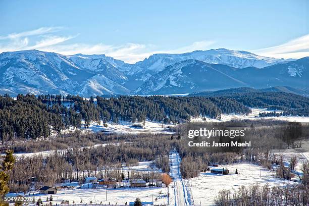 snowy beartooths, montana - treelined stock pictures, royalty-free photos & images