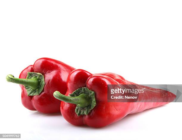 red chilli peppers on white background - gordura stock pictures, royalty-free photos & images