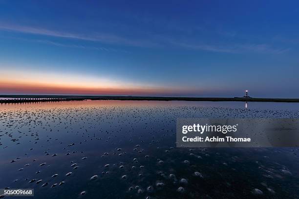 national park wadden sea germany - wattenmeer national park stock pictures, royalty-free photos & images