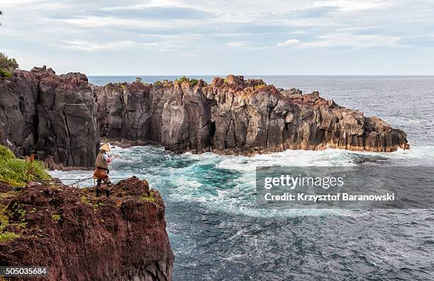 jogasaki coast, izu peninsula, japan - izu peninsula stock pictures, royalty-free photos & images
