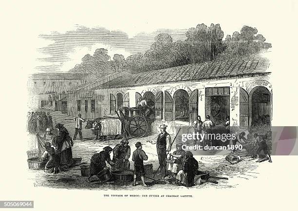 wine making in medoc cuvier at chateau lafite - medoc stock illustrations