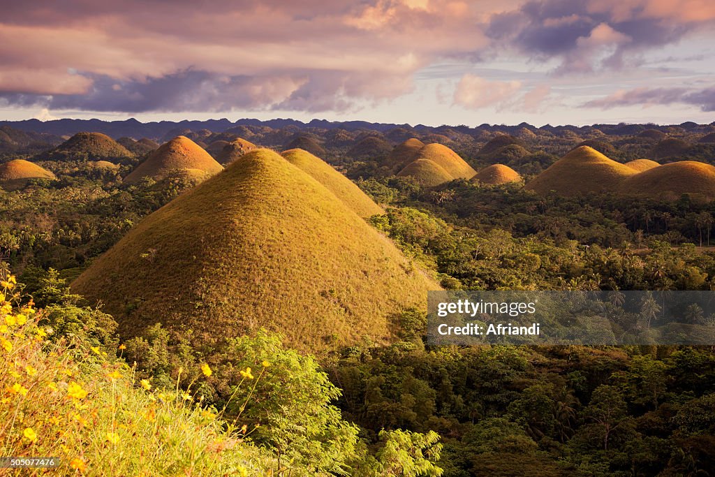 The Chocolate Hills