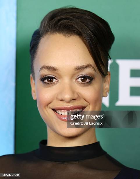 Britne Oldford attends the Winter TCA Tour - NBCUniversal Press Tour at the Langham Huntington Hotel on January 14, 2016 in Pasadena, California.