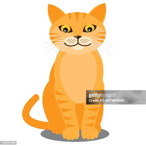 stockillustraties, clipart, cartoons en iconen met smiling cat. vector - orange cat