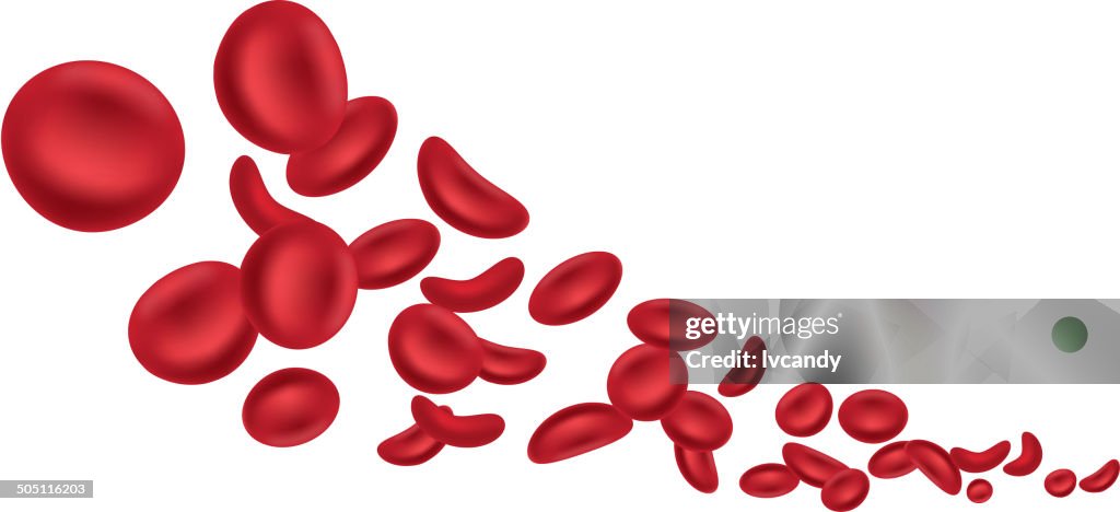 Las células sanguíneas