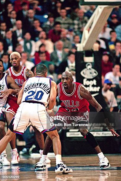 Michael Jordan of the Chicago Bulls defends against Damon Stoudamire of the Toronto Raptors on January 18, 1996 at SkyDome in Toronto, Canada. NOTE...