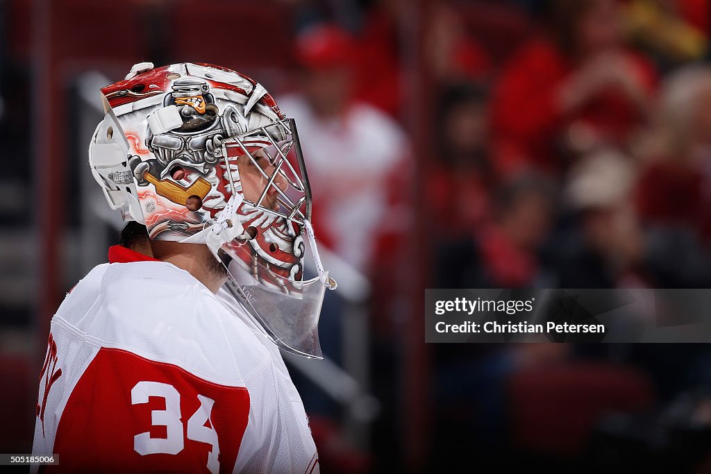 Detroit Red Wings v Arizona Coyotes