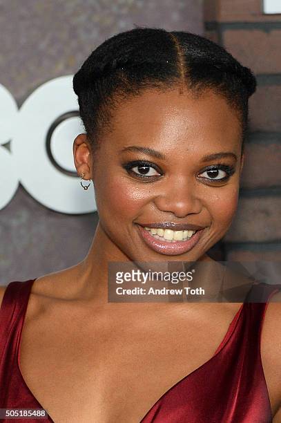 Susan Heyward attends the "Vinyl" New York premiere at Ziegfeld Theatre on January 15, 2016 in New York City.