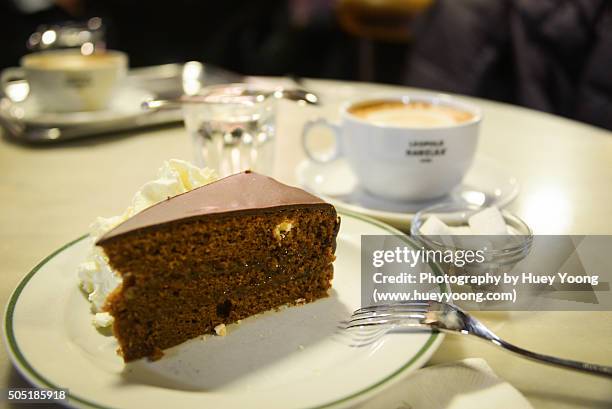 sacher torte - sachertorte stock-fotos und bilder