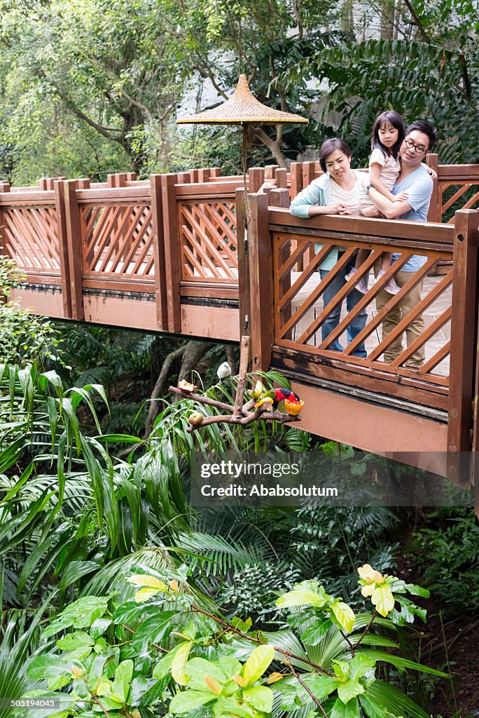 Famille observer les oiseaux, nourrir les Chinois, le Hong Kong Bird Aviary