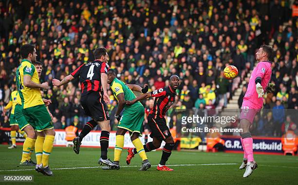 Dan Gosling of Bournemouth scores his team's first goal during the Barclays Premier League match between A.F.C. Bournemouth and Norwich City at the...