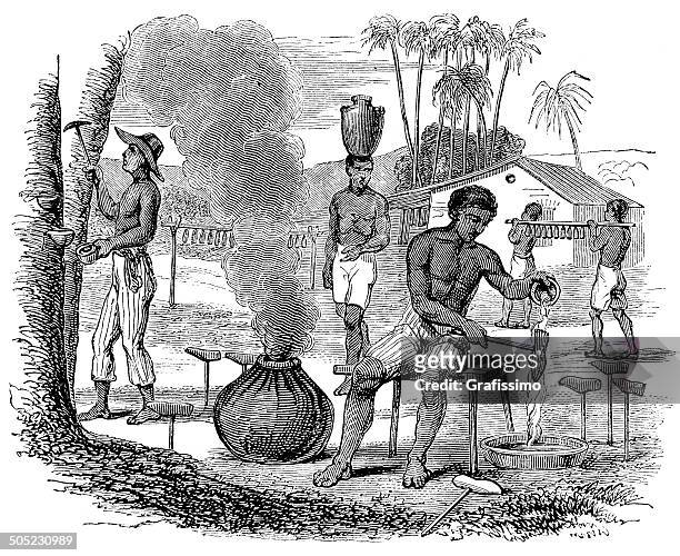 bildbanksillustrationer, clip art samt tecknat material och ikoner med brazil slaves working on caoutchouc plantation harvesting rubber - gummiträd