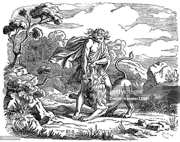 ilustraciones, imágenes clip art, dibujos animados e iconos de stock de samson contra un león - lion-fight-drawing