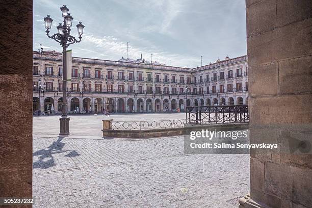 o homem com um cão a espainia plaza - vitoria spain - fotografias e filmes do acervo