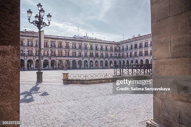 the man with a dog on espainia plaza - vitoria spanien bildbanksfoton och bilder
