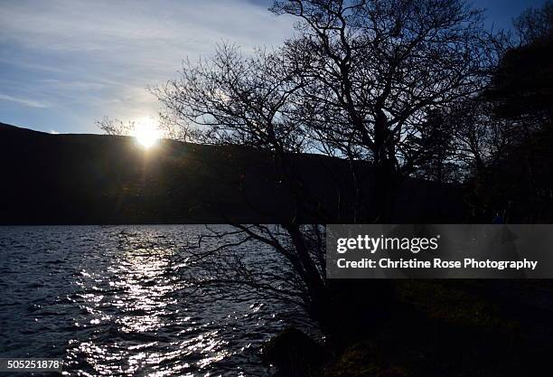 winter walks - ennerdale water stock pictures, royalty-free photos & images