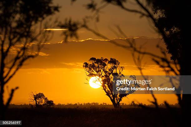 Nimmitabel Map 51 Nimmitabel Stock Photos, High-Res Pictures, and Images - Getty Images