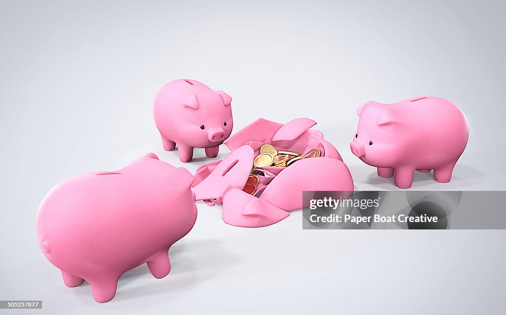 Piggy Bank group looking at broken piggy bank
