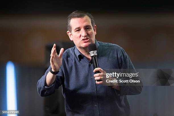 Republican presidential candidate Sen. Ted Cruz speaks to guests at the 2016 South Carolina Tea Party Coalition Convention on January 16, 2016 in...