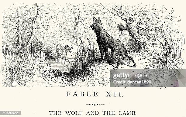 la fontaine's fables - wolf and the lamb - wolf sheep stock illustrations