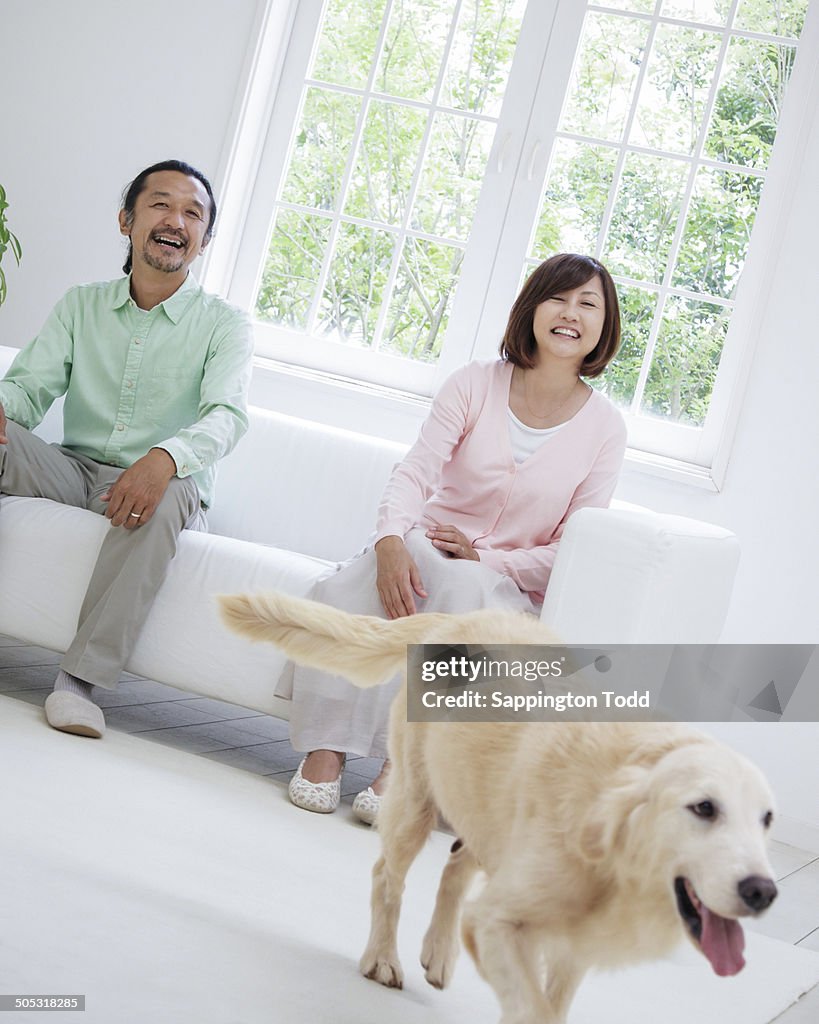 Mature Couple Looking At Pet Dog Walking