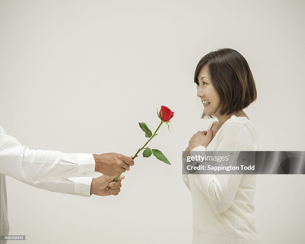 Giving Out Roses Man Giving Rose To Woman High-Res Stock Photo - Getty Images
