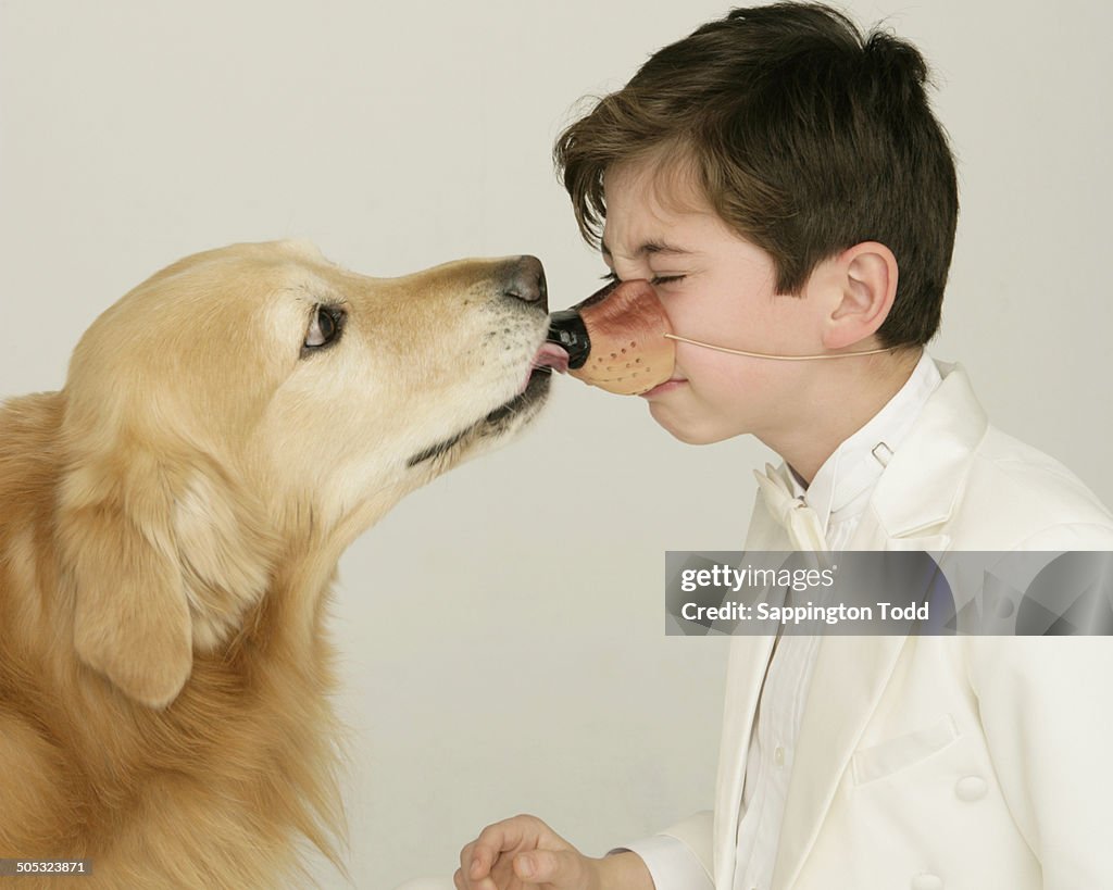 Dog Playing With Boy