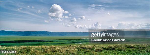 ngorongoro crater, ngorongoro conservation area, ngorongoro district, tanzania. - steppe stockfoto's en -beelden