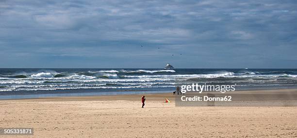 cannon beach & tillamook rock lighthouse - tillamook rock light stock pictures, royalty-free photos & images