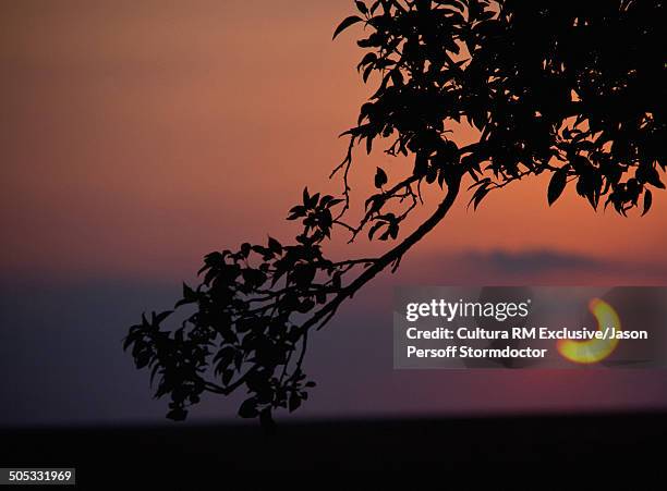 an annular solar eclipse at sunset, clovis, new mexico, usa - glow rm fotografías e imágenes de stock