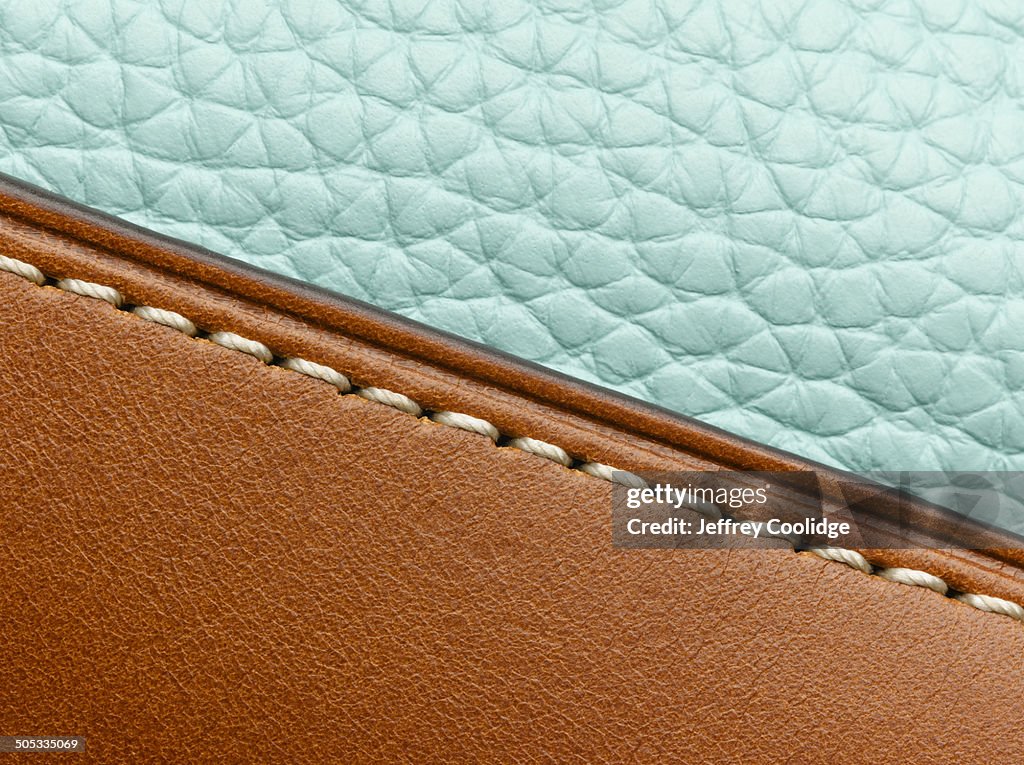 Detail on Leather Purse