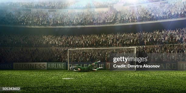 soccer goalkeeper in a jump - goalkeeper soccer stockfoto's en -beelden