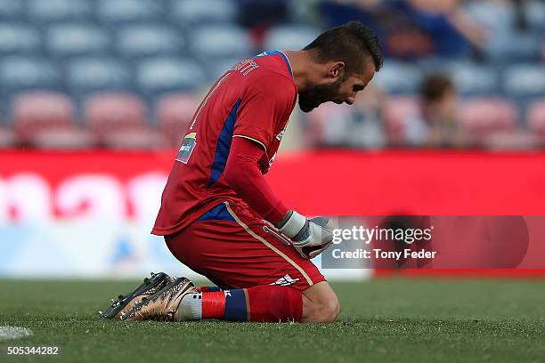 Jets goalkeeper Mark Birighitti celebrates the win over the Phoenix during the round 15 A-League match between the Newcastle Jets and the Wellington...