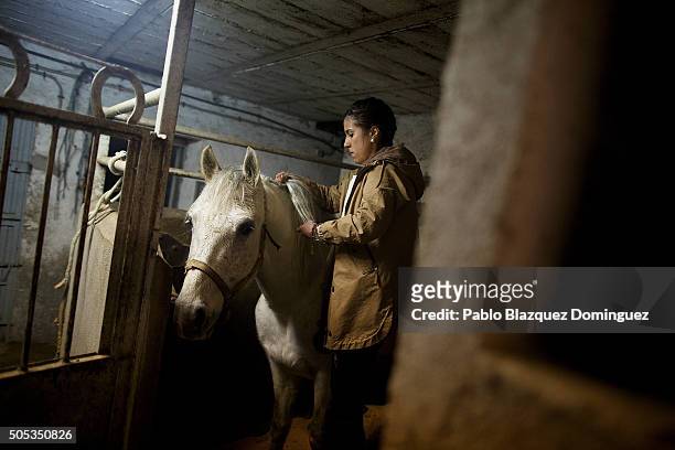 Womman braids a horse's mane before it takes part in the 'Las Luminarias' Festival on January 16, 2016 in San Bartolome de Pinares, Spain. In honor...