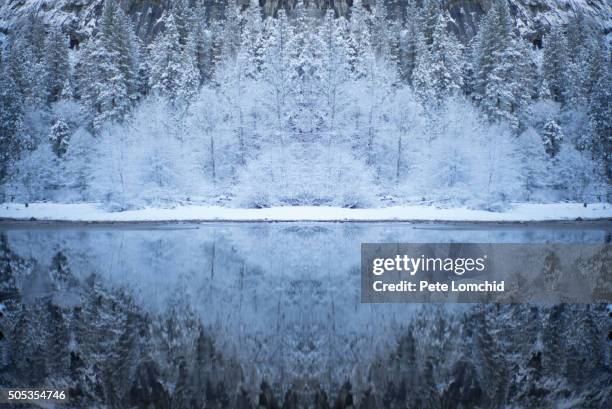 150 Magical Snow Lake Reflection Tree Stock Photos, High-Res Pictures ...