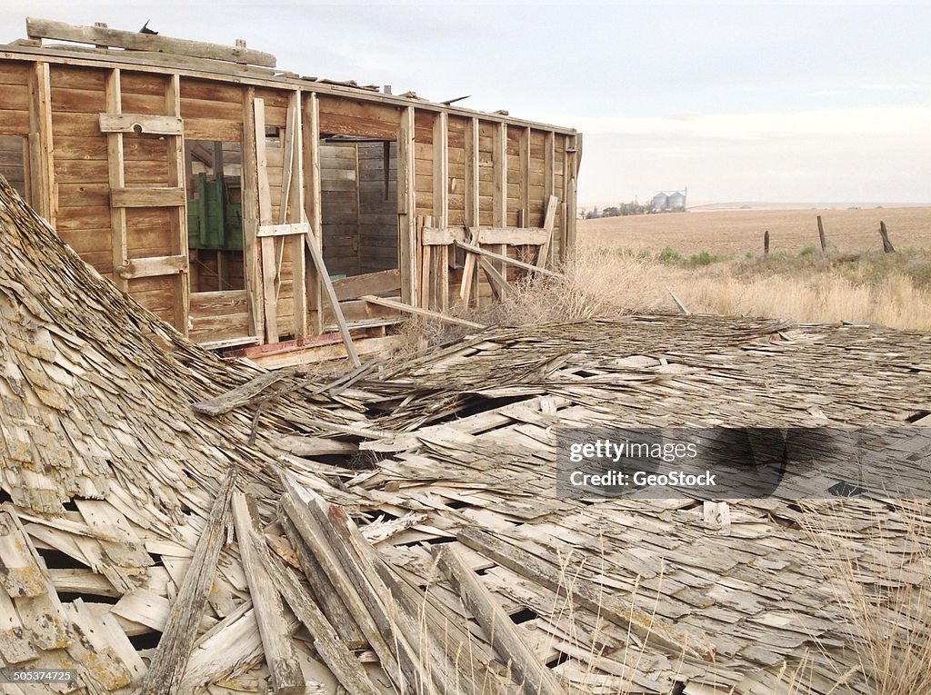 Abandoned farmstead