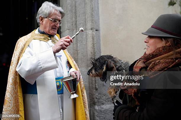 Pet dog is being blessed by a priest at San Anton Church in Madrid, Spain on Saint Anthony's day, dedicated to the animals by Spanish Christians on...